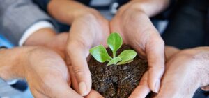 Hands holding soil with a small green plant sprouting.